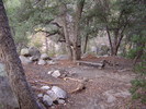 photo thumbnail #2
