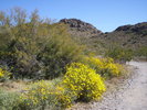 photo thumbnail #1