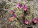 photo thumbnail #3