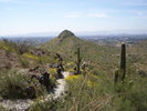 photo thumbnail #4