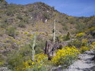 photo thumbnail #9