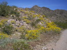 photo thumbnail #10