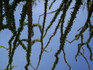 photo thumbnail #11