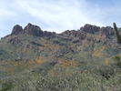 photo thumbnail #1