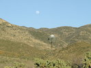 photo thumbnail #15