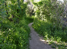 photo thumbnail #1