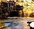 photo thumbnail #5