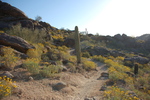 photo thumbnail #7