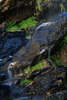 photo thumbnail #15