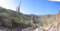 photo thumbnail #5