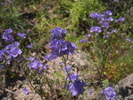 photo thumbnail #15