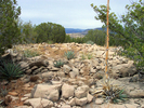 photo thumbnail #4
