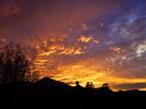 photo thumbnail #14