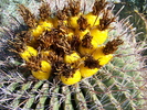 photo thumbnail #3