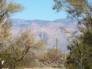 photo thumbnail #9