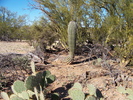 photo thumbnail #10