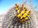 photo thumbnail #13