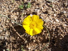 photo thumbnail #14