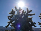 photo thumbnail #3