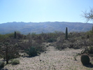 photo thumbnail #5