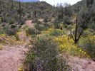 photo thumbnail #10