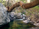 photo thumbnail #12