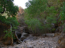 photo thumbnail #14