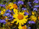 photo thumbnail #14