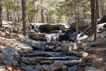 photo thumbnail #6