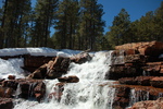 photo thumbnail #11