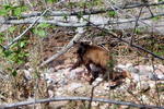 photo thumbnail #8
