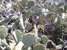 photo thumbnail #6