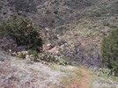 photo thumbnail #14
