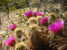 photo thumbnail #4