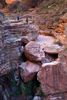 photo thumbnail #14