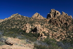 photo thumbnail #9