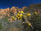 photo thumbnail #8