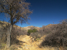 photo thumbnail #9