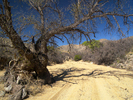 photo thumbnail #14
