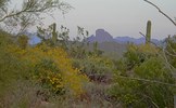 photo thumbnail #1