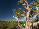 photo thumbnail #9
