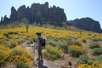 photo thumbnail #2