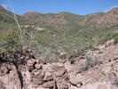 photo thumbnail #2