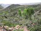 photo thumbnail #10