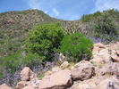 photo thumbnail #11