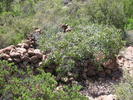 photo thumbnail #13