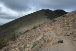 photo thumbnail #4