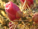 photo thumbnail #3