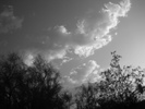 photo thumbnail #11