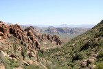 photo thumbnail #2